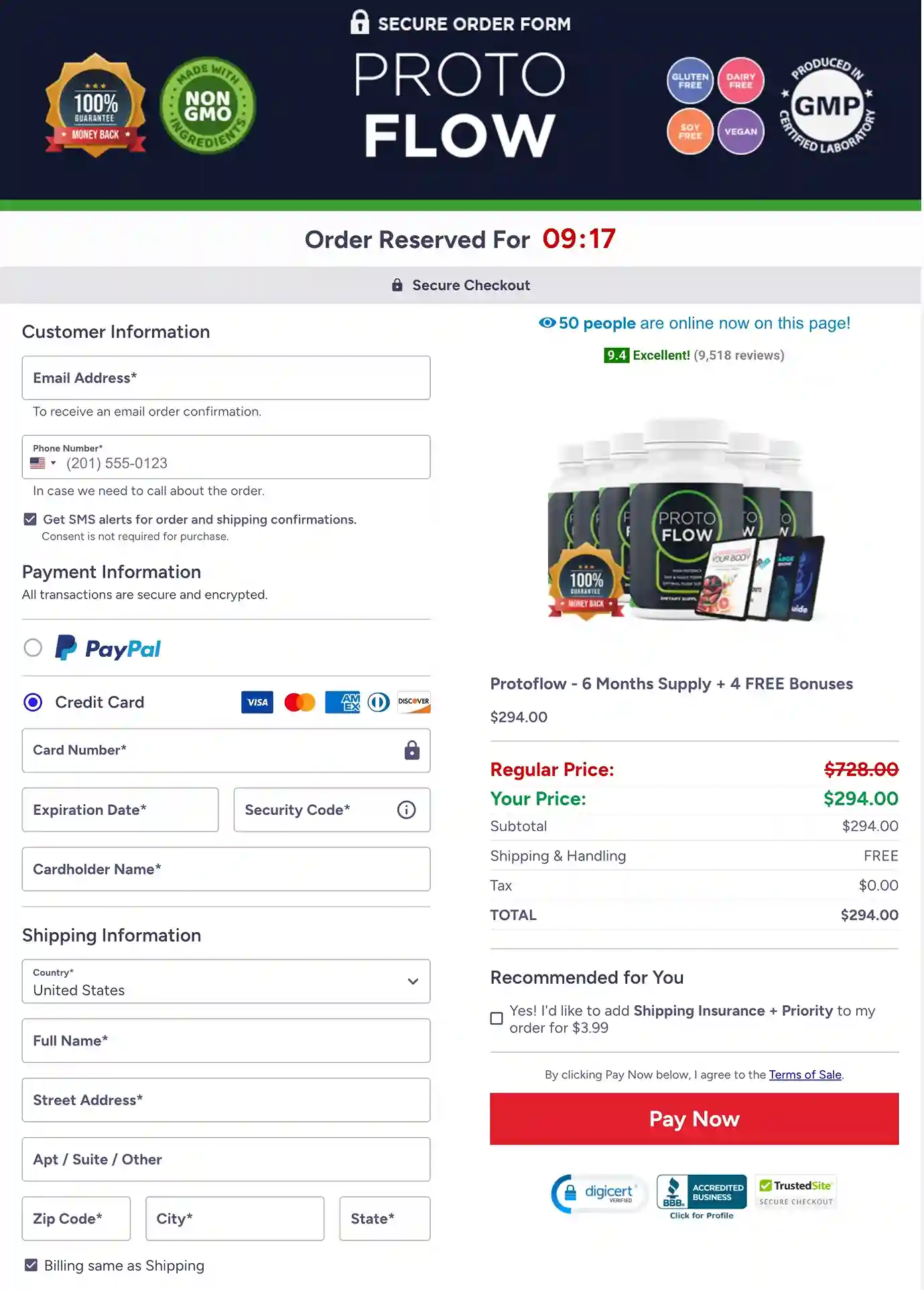 ProtoFlow Secure Checkout — Visa Mastercard Payment Options USA